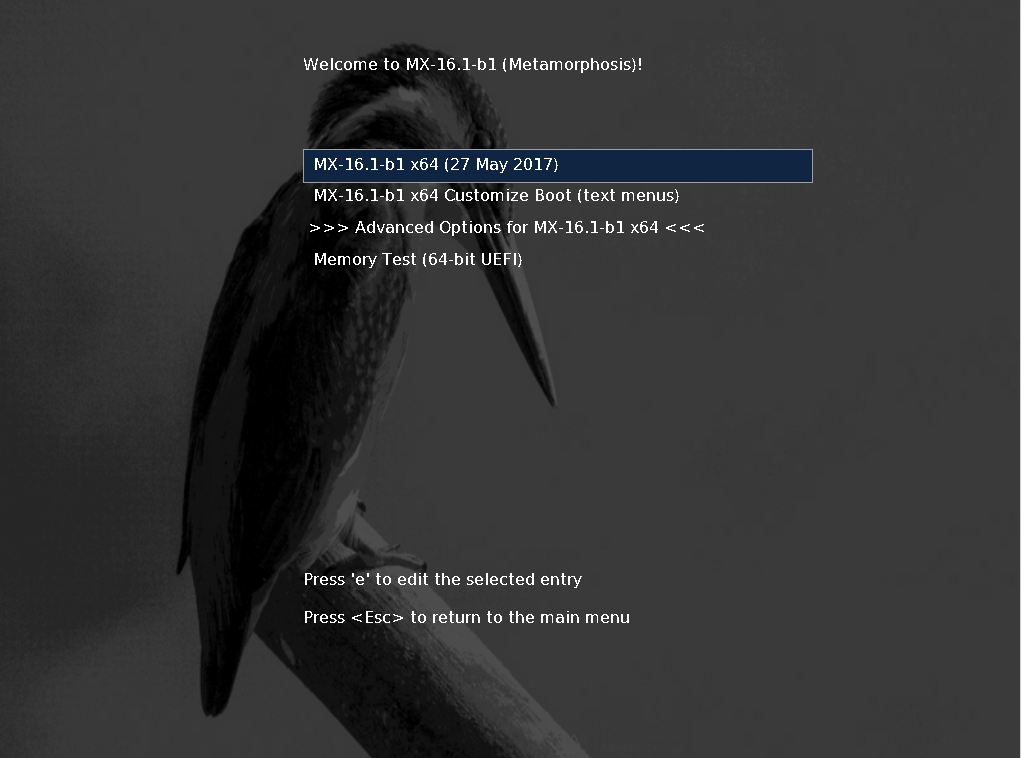 figure grafix/uefi_boot.png